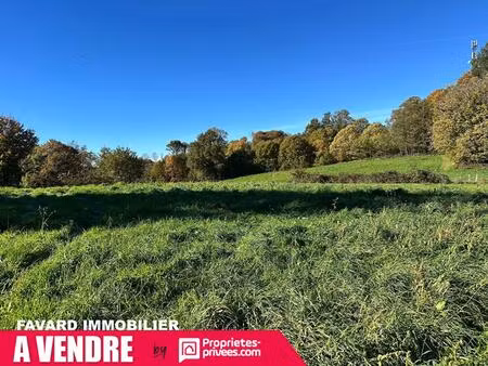 terrain 8 903 m² - saint-sornin-lavolps (à 2 pas de pompadour)