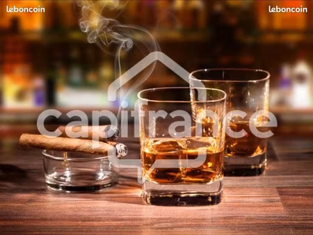 fonds de commerce à vendre plourac h 2 pièce(s) 110m2 77 000€