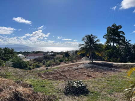 achat terrain 1 611m² grand bourg 97112