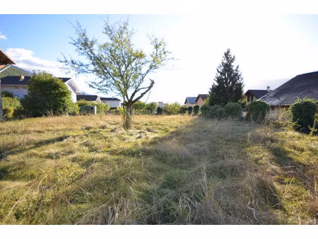 terrain à vendre grignon 781m2 130 000€