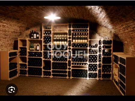 cave à vendre plateau croix rousse - rue henri gorjus