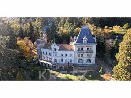 château bas-en-basset (43)