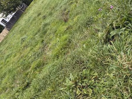 vente terrain à faverges-de-la-tour (38110) : à vendre / 568m² faverges-de-la-tour