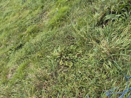 vente terrain à faverges-de-la-tour (38110) : à vendre / 577m² faverges-de-la-tour