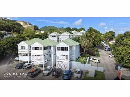 appartement avec terrasse saint-martin (971)