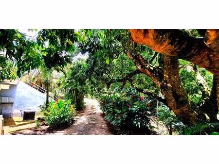 maison avec jardin saint claude (971)