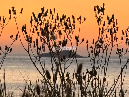 vente appartement 1 pièce 22 m² à fréhel (22240)  116 960 €