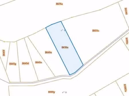 parcelle de paturage