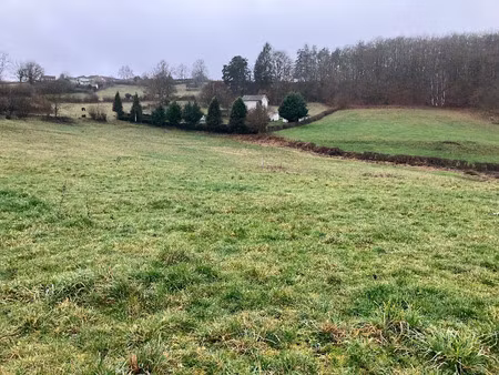 vente terrain 1683 m² à lacapelle-viescamp (15150)  33 500 €