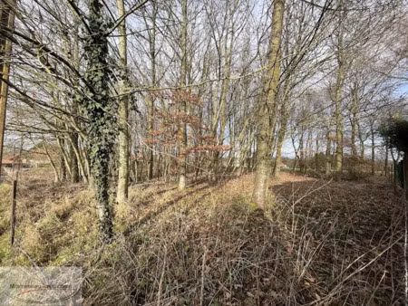 vente terrain 2521 m² à vendhuile (02420)  30 000 €