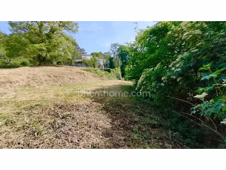 vente terrain 1297 m² à neufchâteau (88300)  49 000 €
