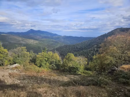 vente terrain 704 m² à pietraserena (20251)  54 500 €