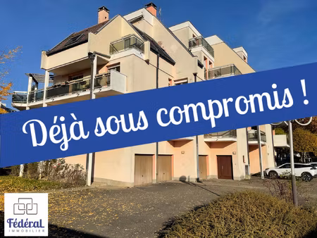 souffelweyersheim studio cosy 21 22m2 côté cour  plein sud 