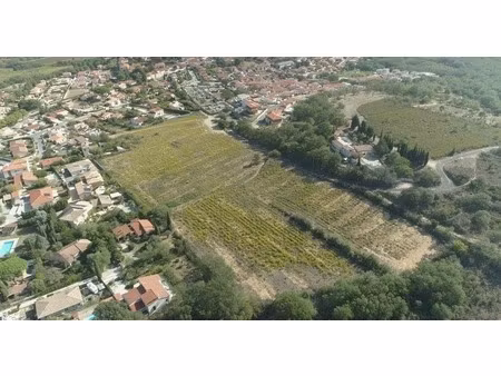 dpt pyrénées orientales (66)  à vendre banyuls dels aspres terrain constructible 256 m² en
