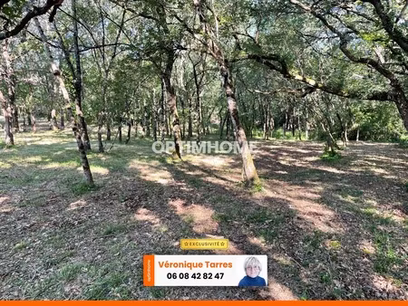 terrain boise 1181 m²