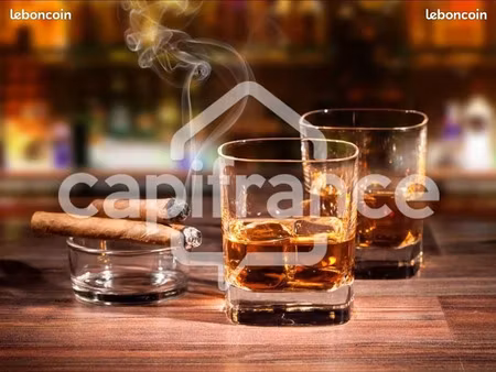 vente locaux professionnels 2 pièces 110 m² à plourac'h (22160)  77 000 €