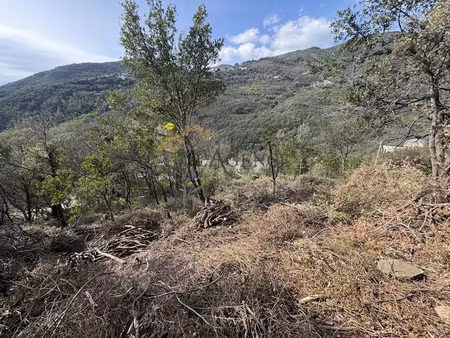 vente terrain à santa-maria-di-lota (20200)  252 000 €