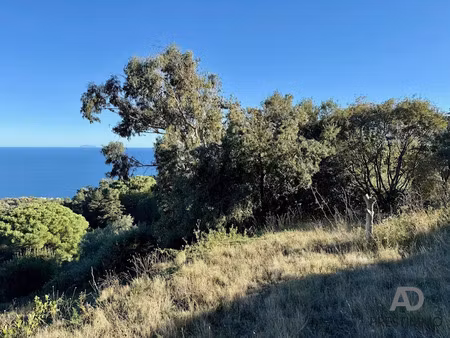vente terrain à batir 3334 m² à bastia (20200)  597 000 €