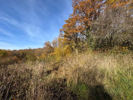 beau terrain de 1639m2 en vente 48500 eur à champagney