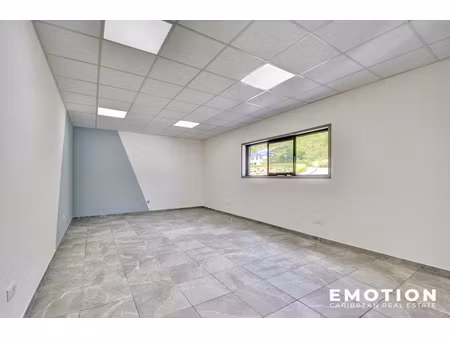 location locaux professionnels 0 pièces 43 m² à saint-martin (97150)  1 400 €