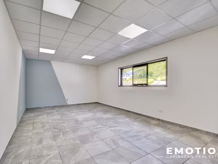 location locaux professionnels 43 m² à saint-martin (97150)  1 400 €