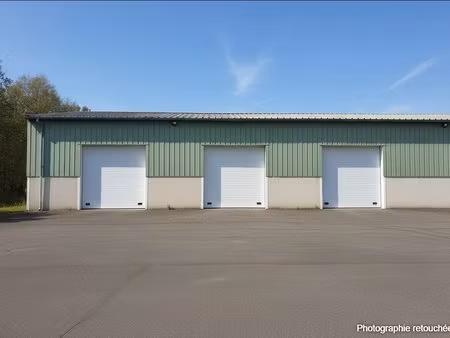 immobilier professionnel à vendre artigueloutan