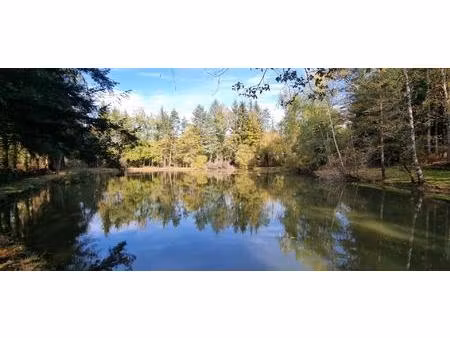 etang de 3000m²