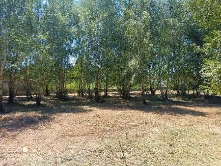 terrain constructible