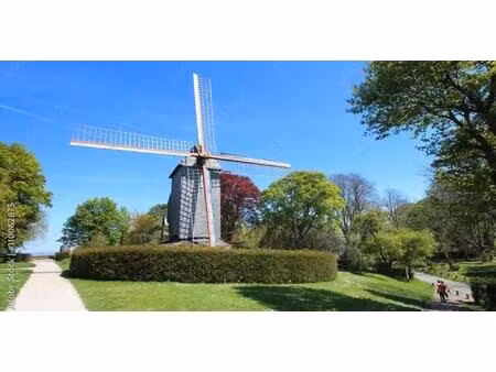 au pied du mont cassel ! murs commerciaux + logement idéal airbnb.