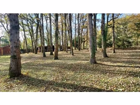 terrain à vendre de 1 090 00 m² baladou (46)