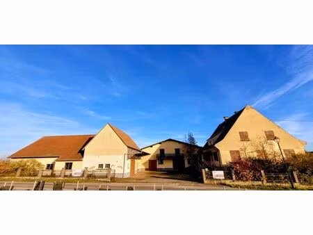 maison de luxe de 12 chambres en vente à zellenberg  france