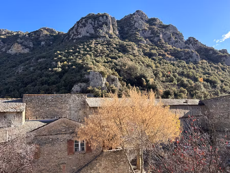 achat maison 8 pièces 310m² villefranche de conflent 66500