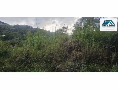 terrain à vendre dans un quartier paisible  martinique