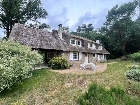 raizeux 78125 - charmante chaumiere dans bel environnement