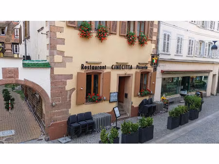 local commercial sélestat à vendre