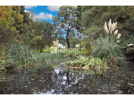 maison t6 bringolo à vendre