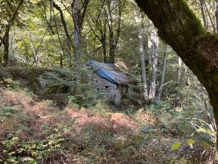 vente maison chaumeil (19390)