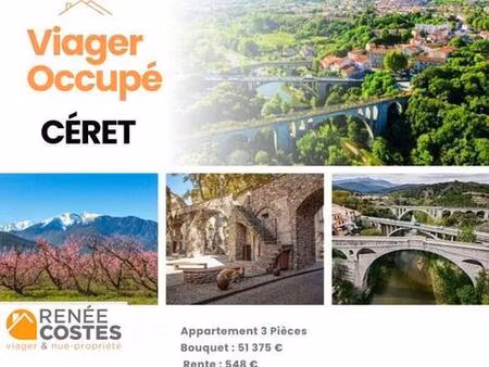 viager occupé - f80-h76 ans - ceret (66400)