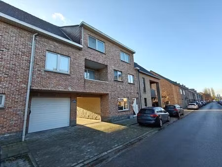 gelijkvloers appartement te huur in lokeren