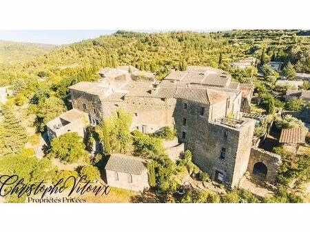 villa de luxe de 6 pièces en vente lagrasse  france
