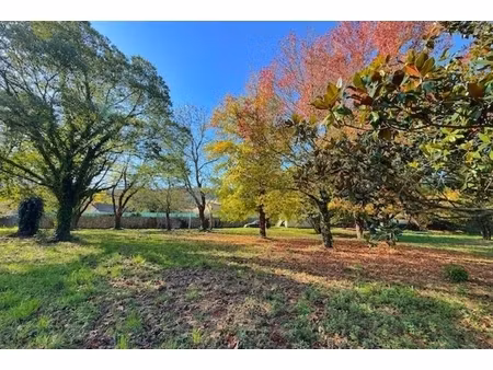 annonce terrain à vendre