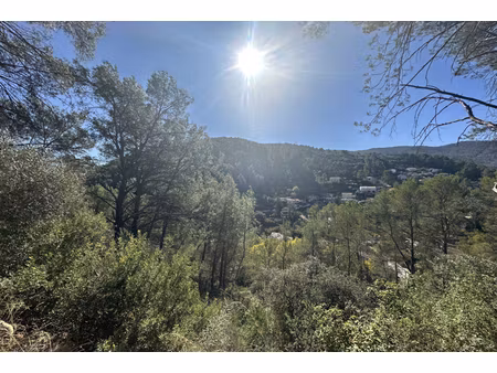 annonce terrain à vendre