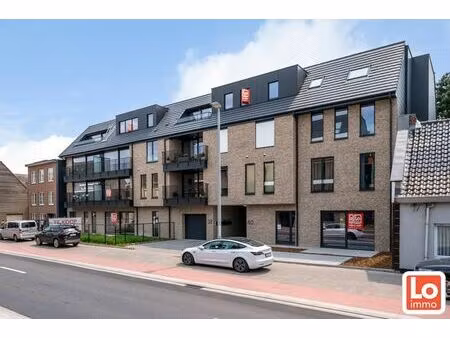 surface commerciale à vendre à zeveneken-dorp 40 zeveneken (rbu66182)