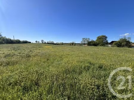 terrain à vendre - 1400 m2 - ste croix - 81 - midi-pyrenees
