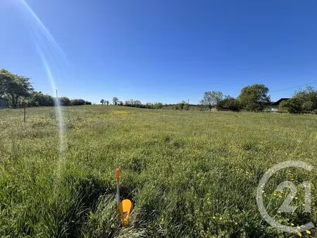 terrain à vendre - 700 m2 - ste croix - 81 - midi-pyrenees