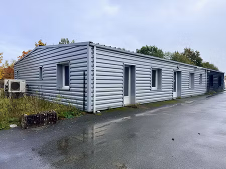 achat local professionnel 248m² lezigne 49430