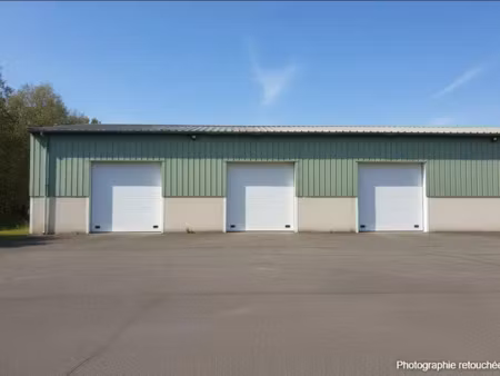 immobilier professionnel à vendre artigueloutan