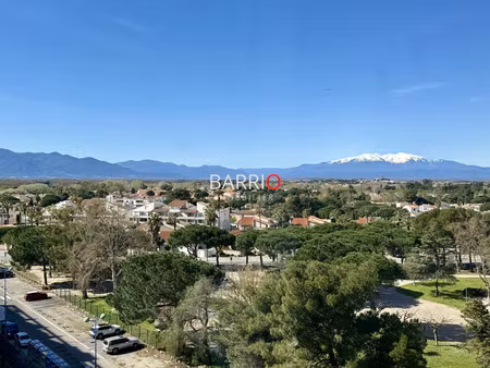 vente appartement saint-cyprien 66750 - - surface privée