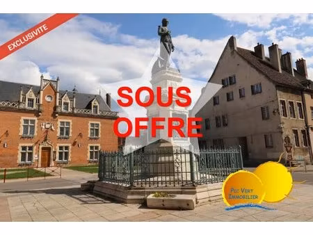 maison au centre ville  250m²  10pc + cave voûtée