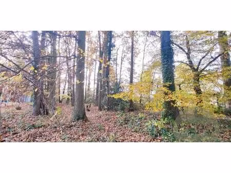 terrain neauphle-le-château (78)